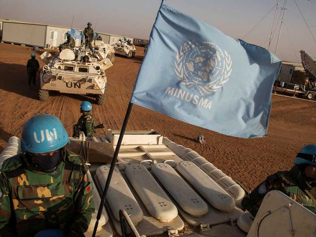 Search image article