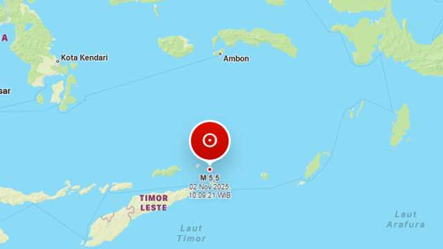 Search image article