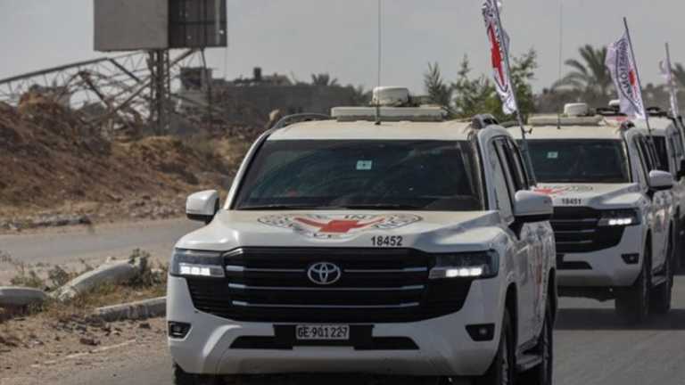 Search image article