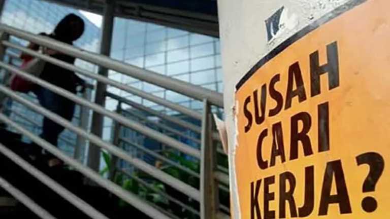 Search image article