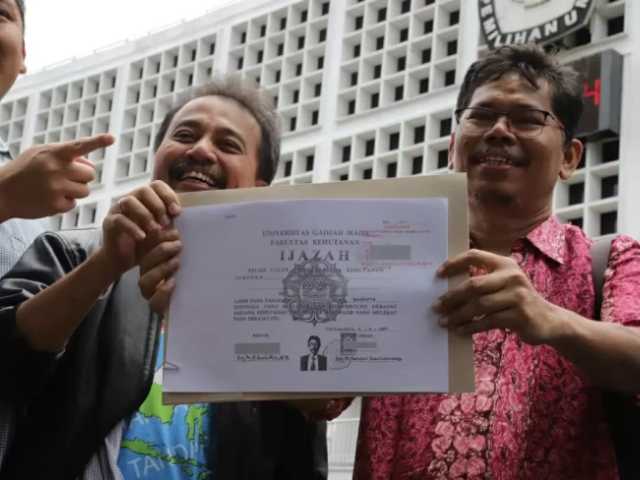 Search image article