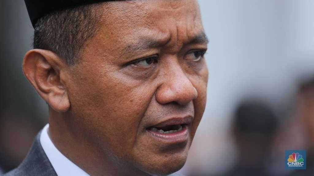 Search image article