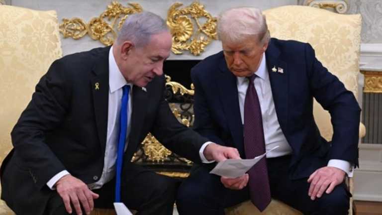 Search image article