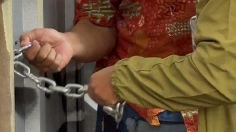 Search image article