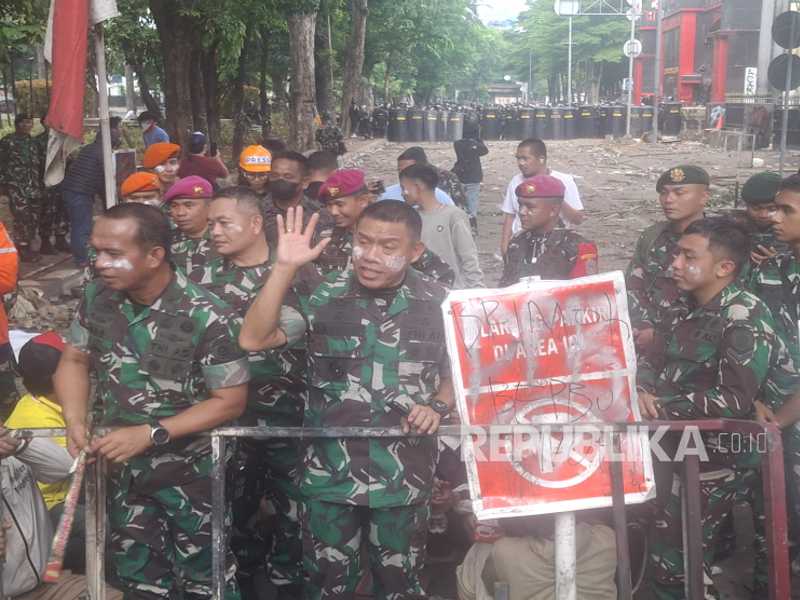 Search image article