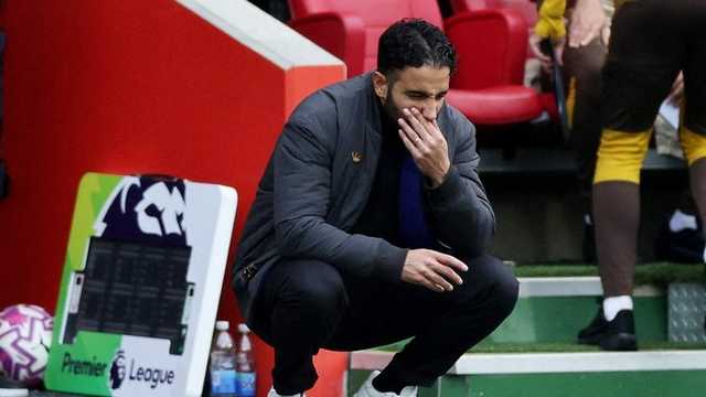 Search image article