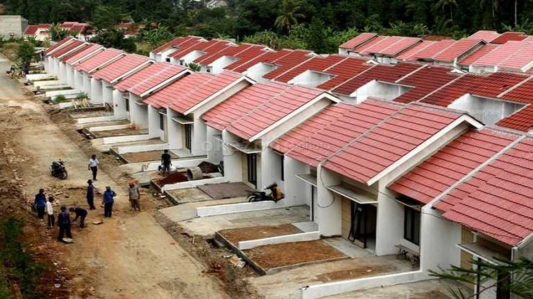 Search image article