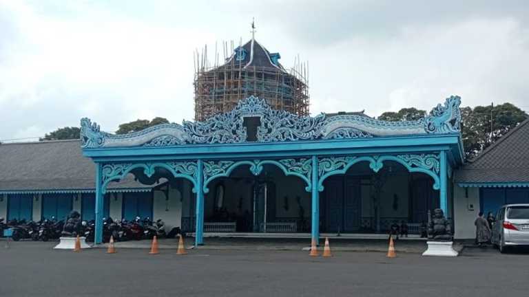 Search image article