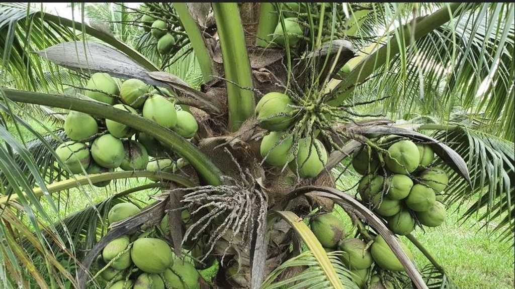 Search image article