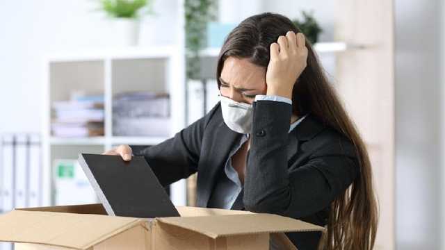 Search image article