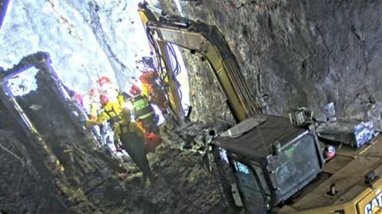 Search image article