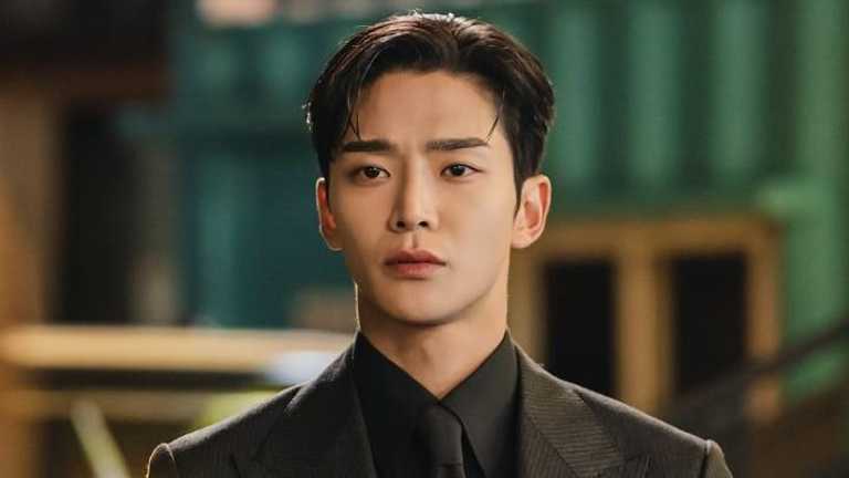 Search image article