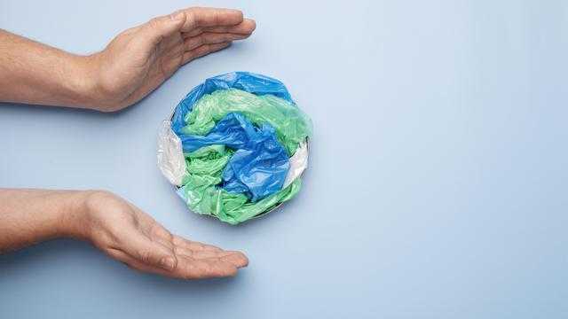 Search image article