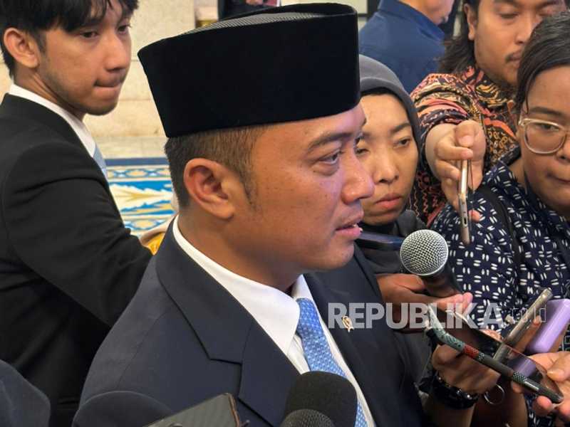 Search image article