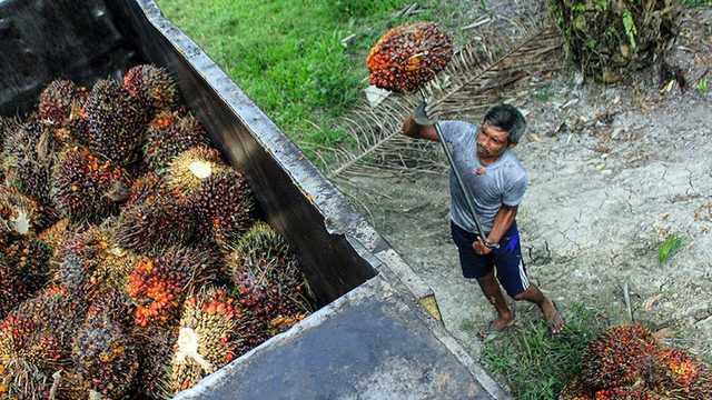 Search image article