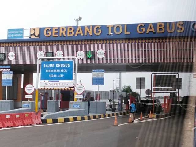 Search image article