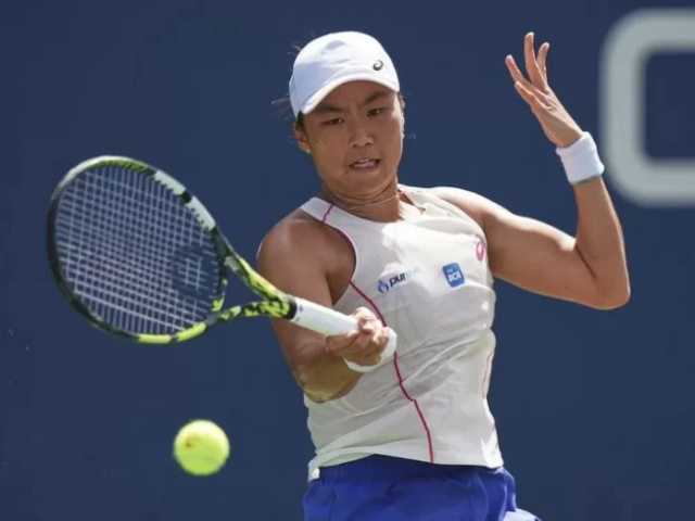 Search image article