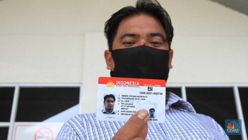 Search image article