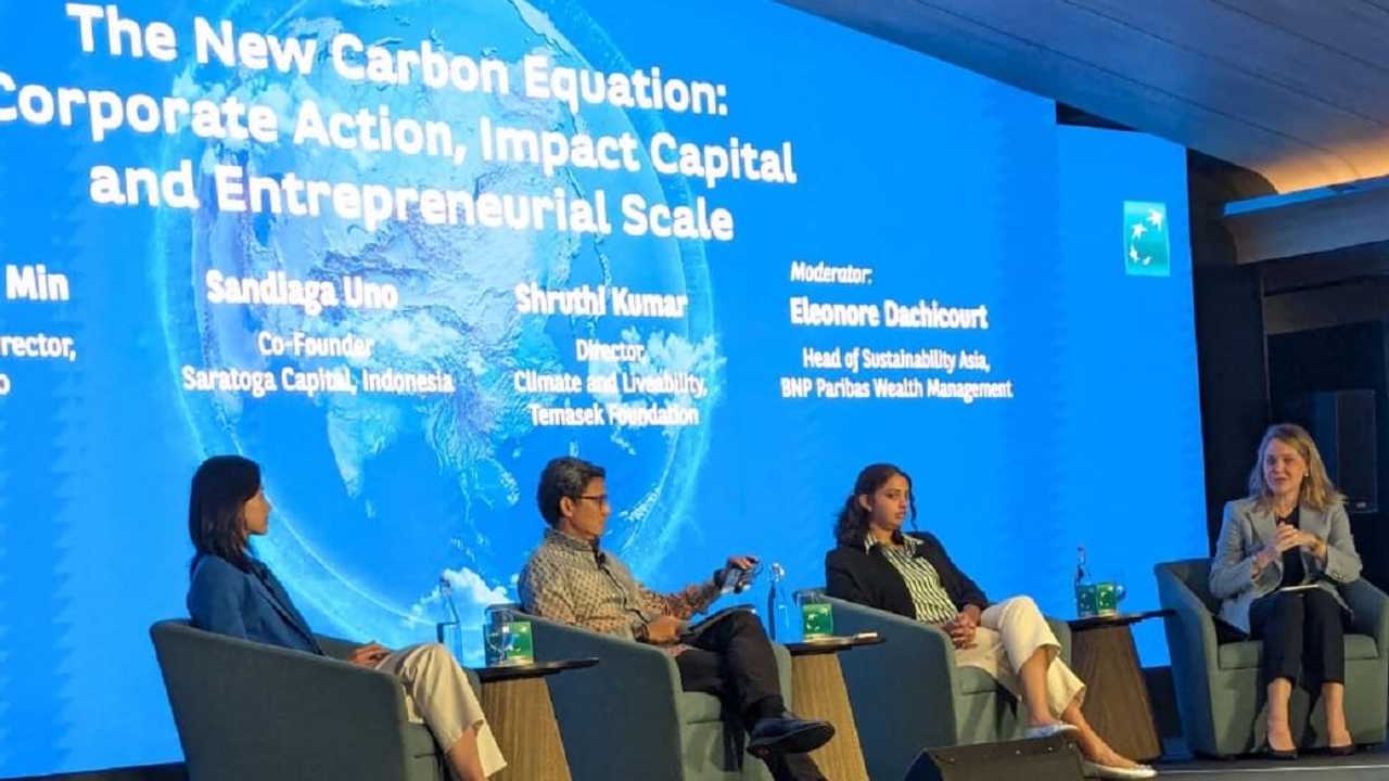 Search image article