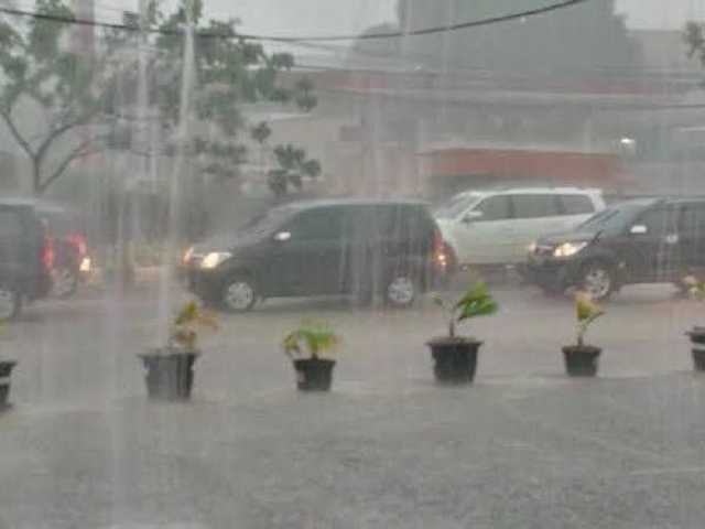 Search image article