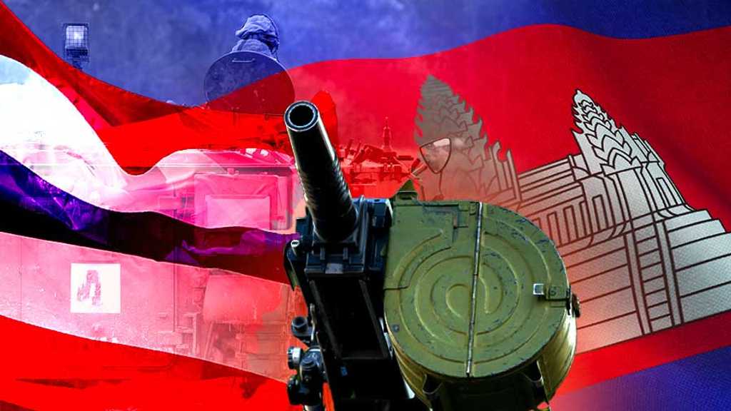 Search image article