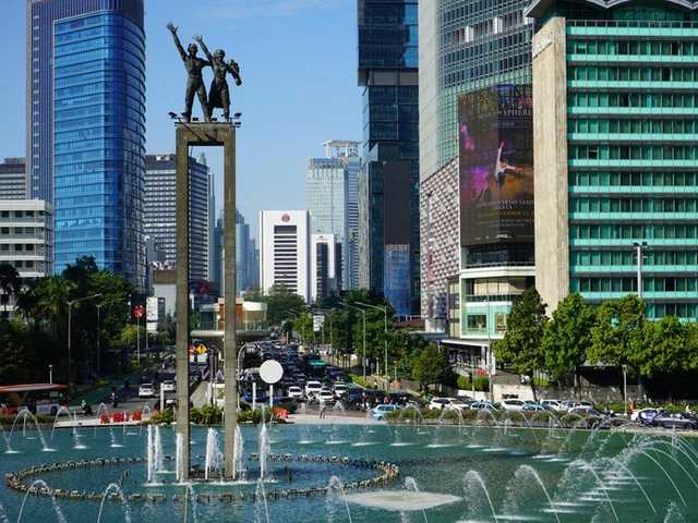 Search image article