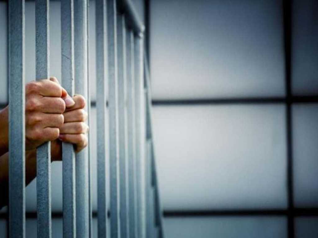 Search image article