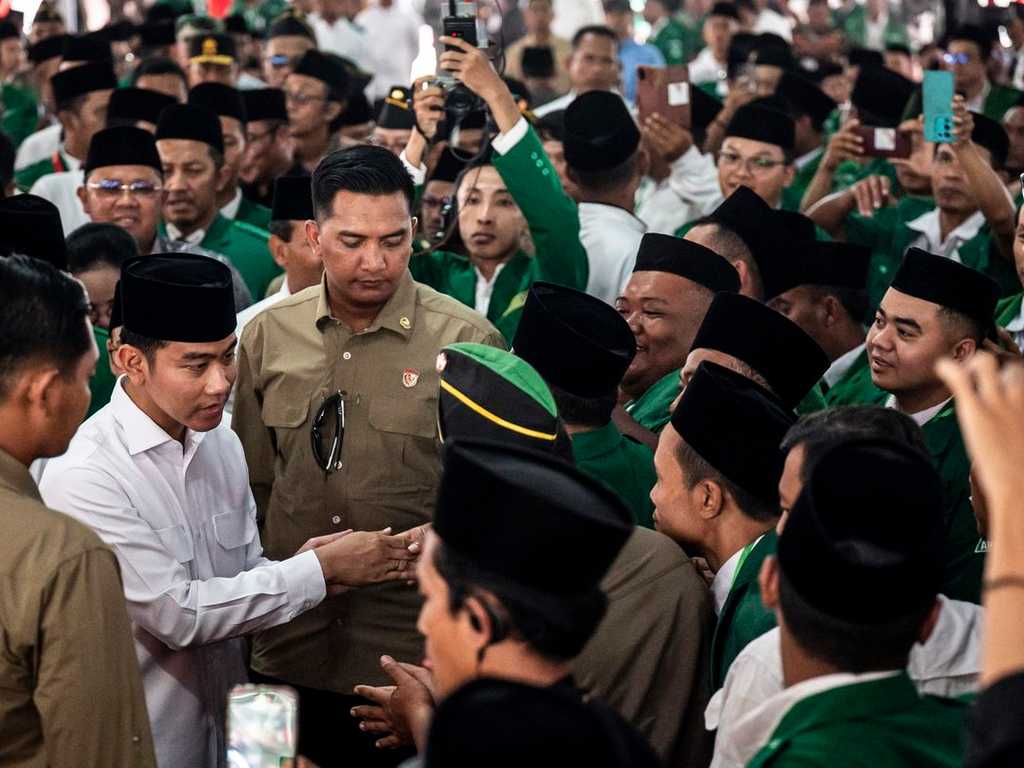 Search image article