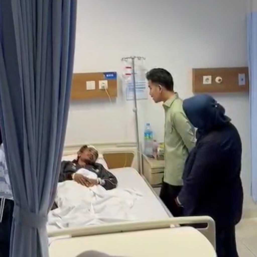 Search image article