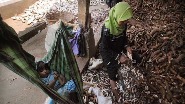 Search image article