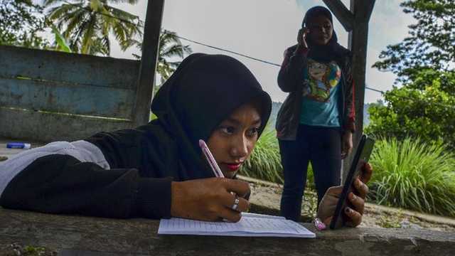 Search image article