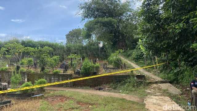 Search image article