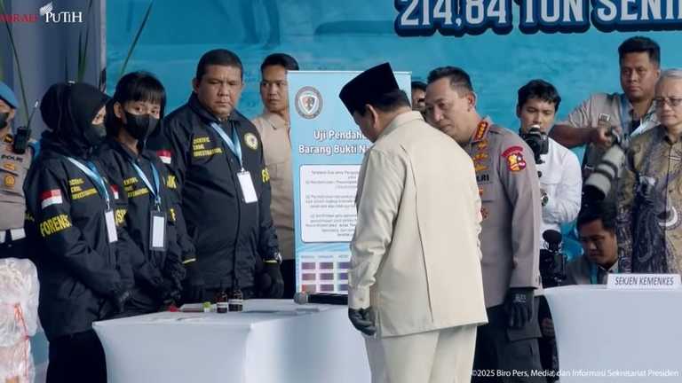 Search image article