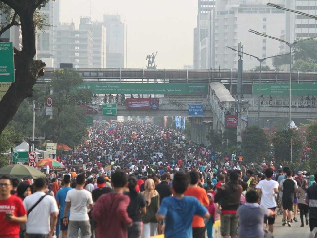 Search image article