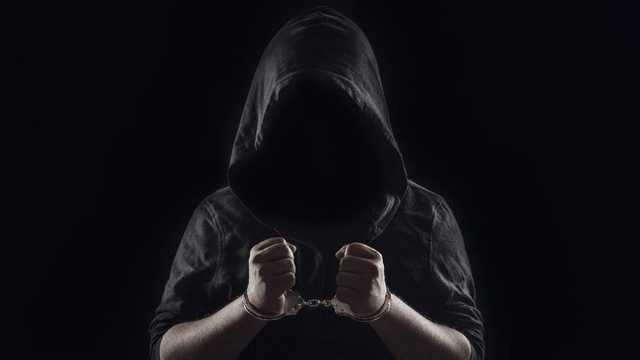 Search image article