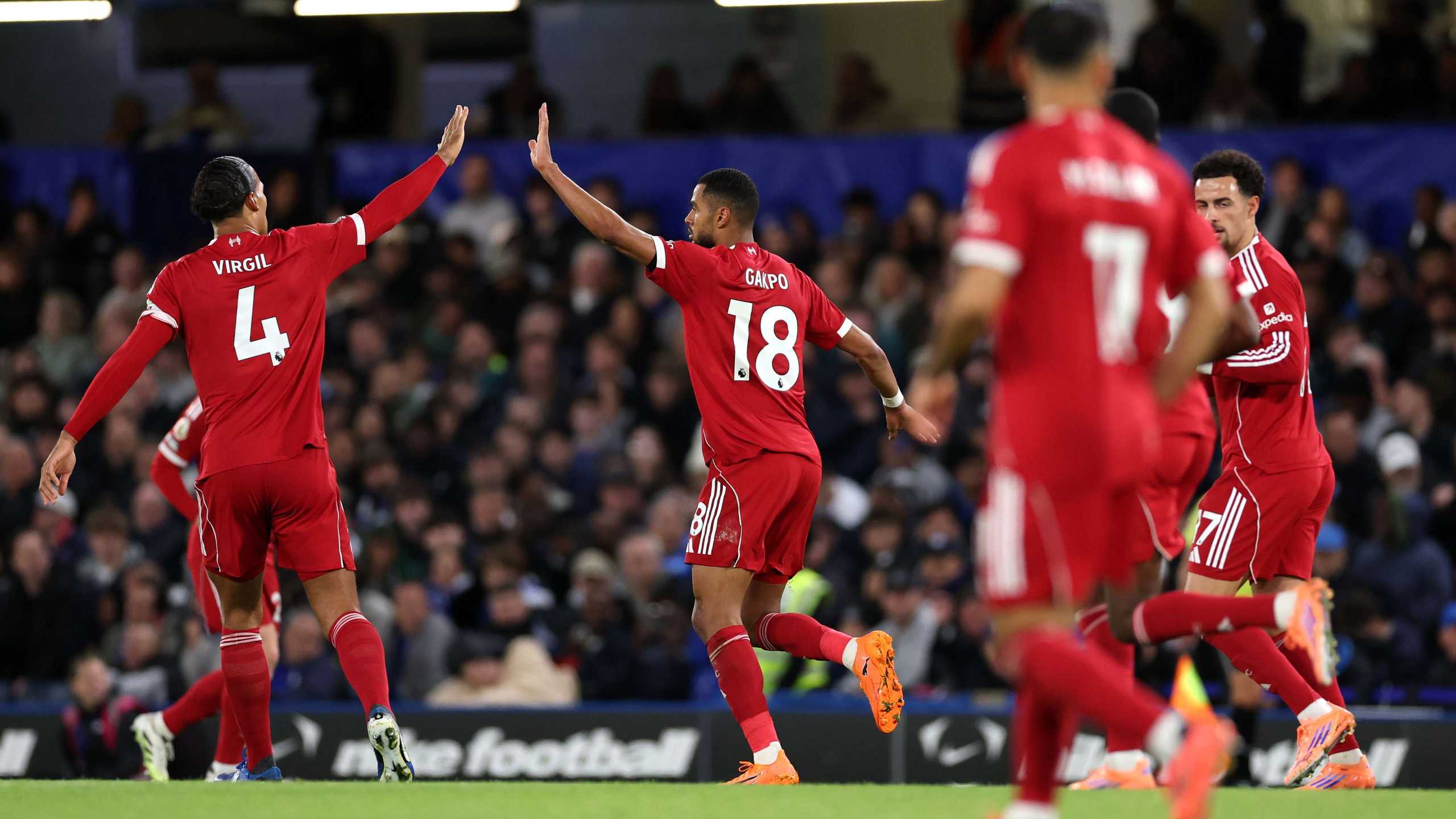 Search image article