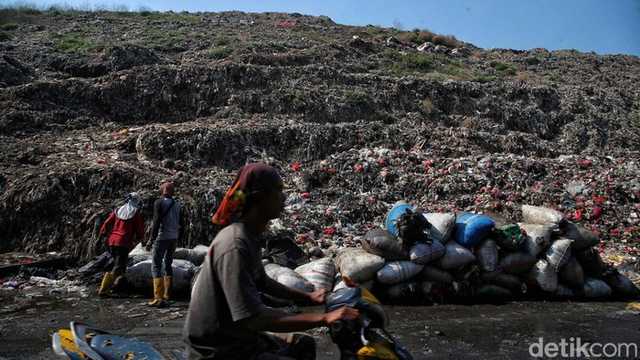 Search image article