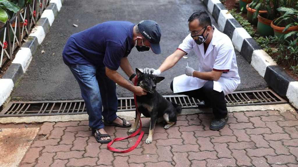 Thailand tetapkan sebagian Bangkok dan Samut Prakan zona epidemik rabies