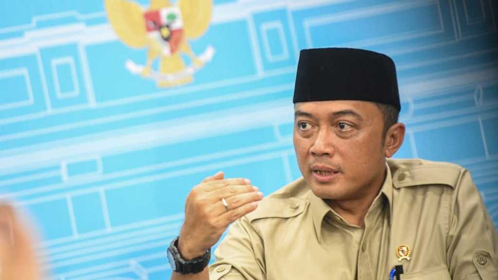 Search image article