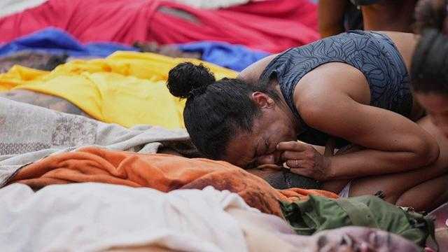 Search image article