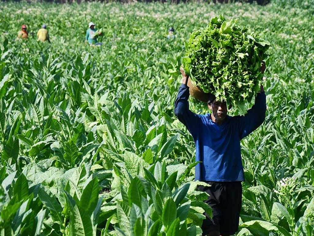 Buruh dan DPR sepakat dorong moratorium cukai, cegah PHK massal akibat rokok ilegal