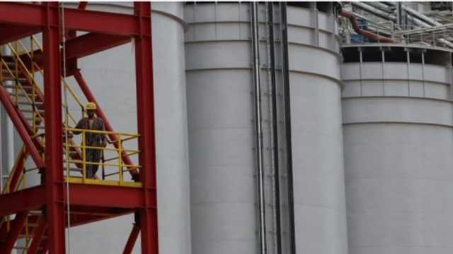 Search image article