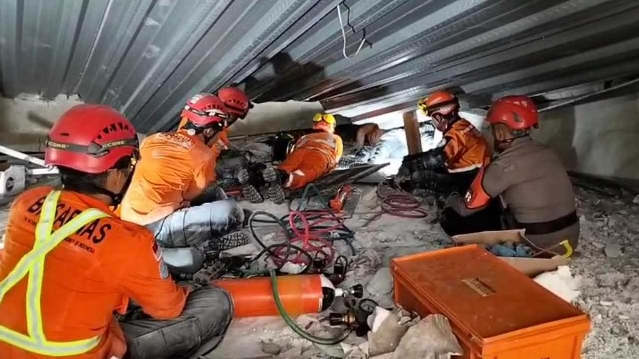 Search image article