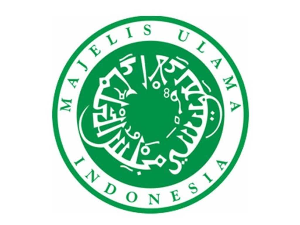 Search image article