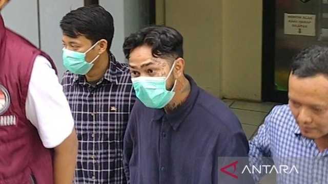 Search image article