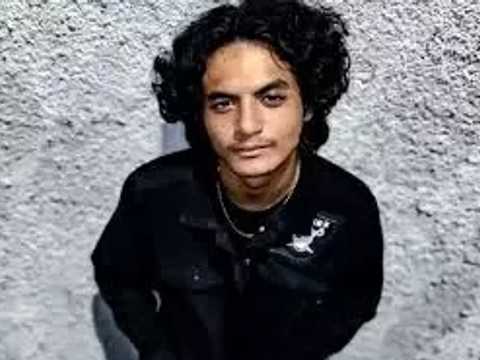 Search image article