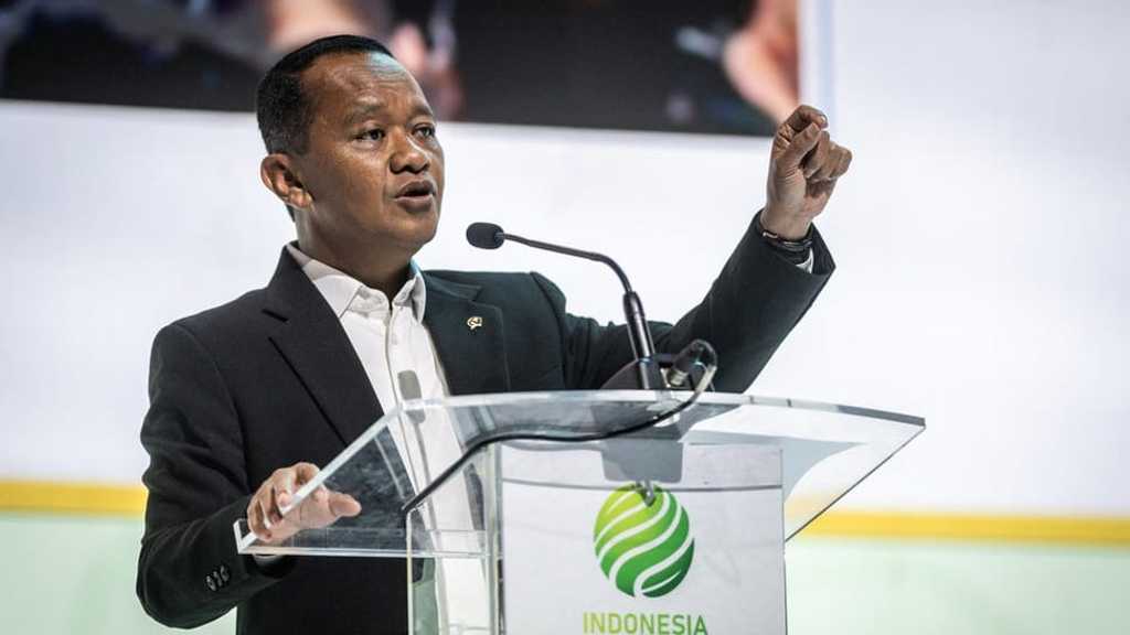 Search image article