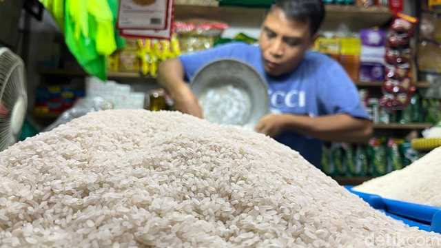 Search image article