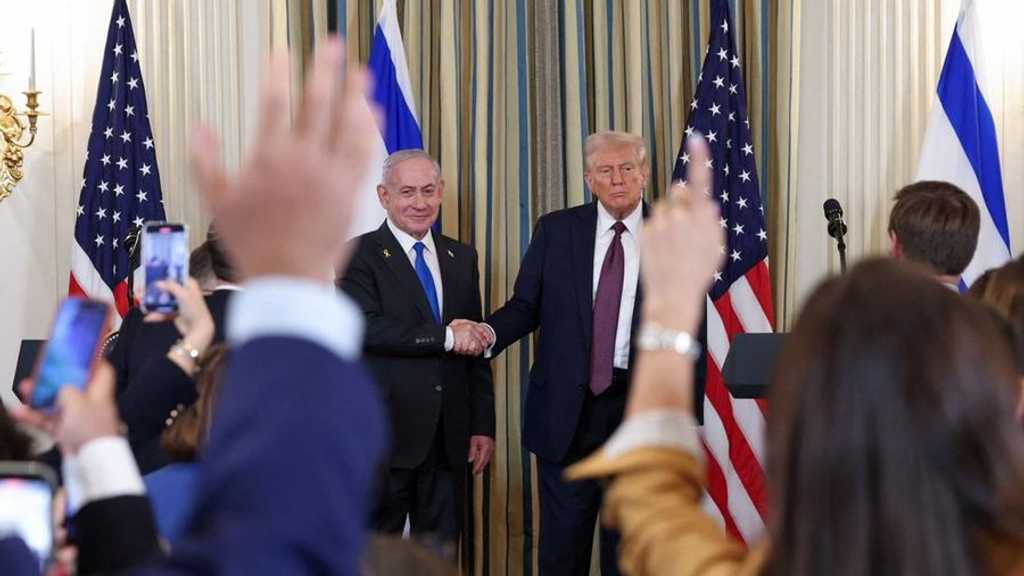 Search image article