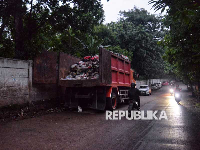 Search image article